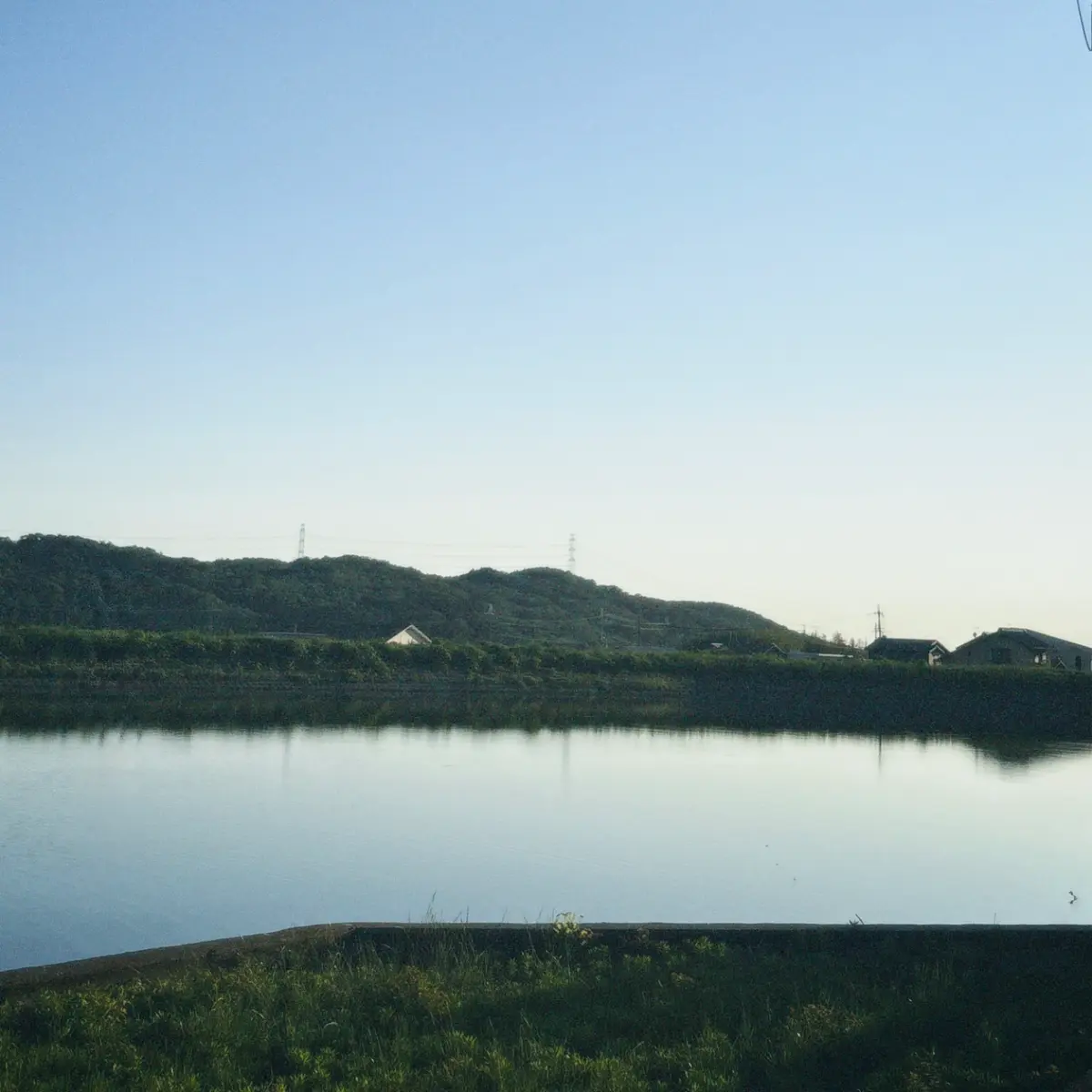 5/31 - 楓 | ArtNow