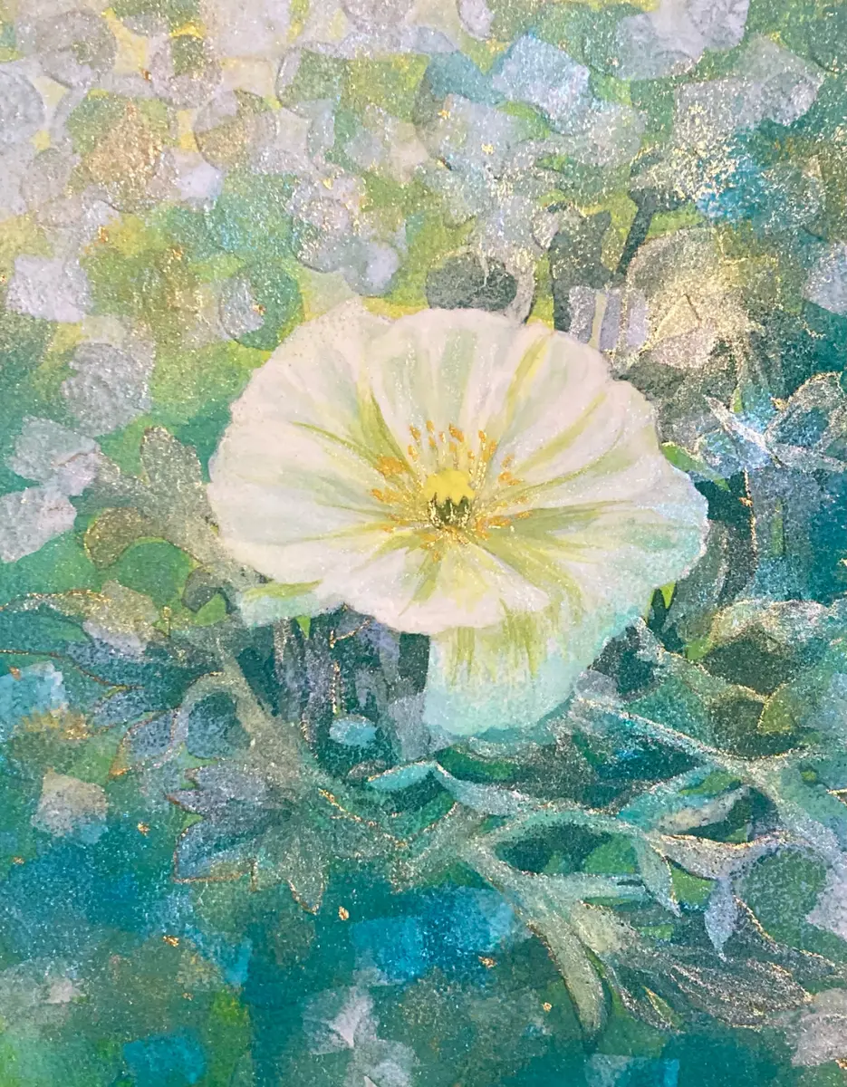 Shirley poppy - 小川友季 | ArtNow
