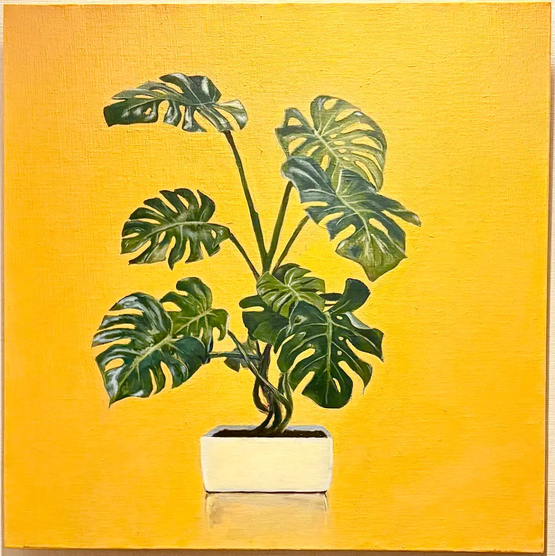 Monstera - IK | ArtNow