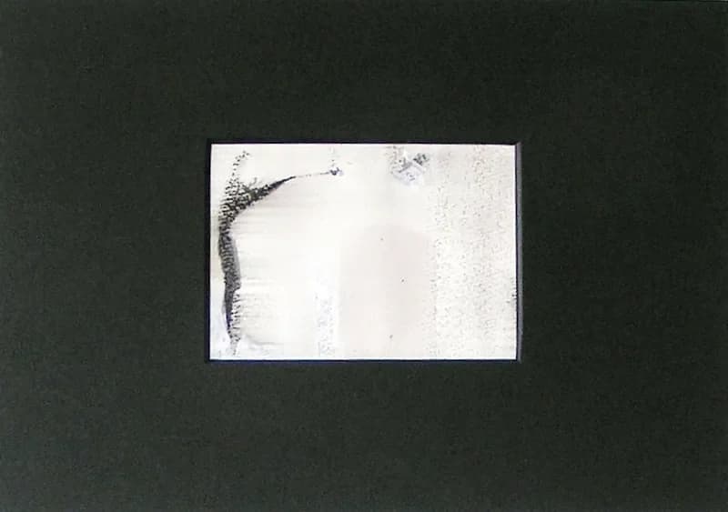 BL/ZONE/2012/F  - 島田豊実 | ArtNow