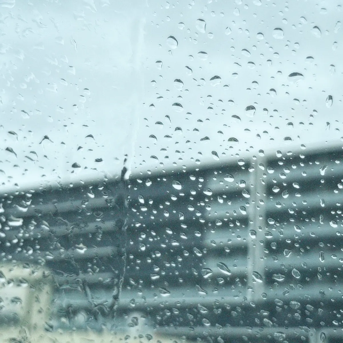 六月、某、台風の日 - 楓 | ArtNow