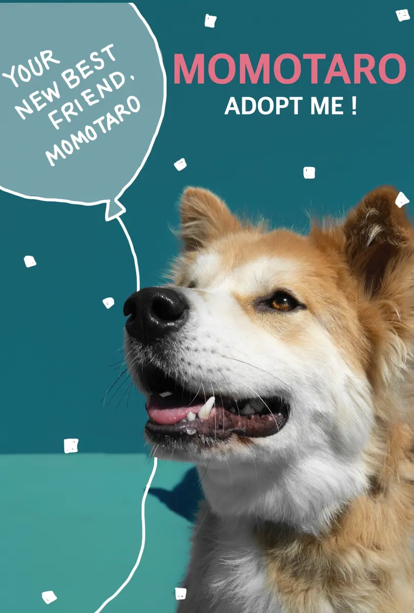 ADOPT ME! - 宮本　祐希 | ArtNow
